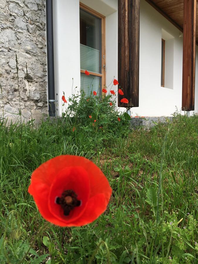 Appartamento Der Weber - Haus Der Zukunft Hermagor-Pressegger See Esterno foto