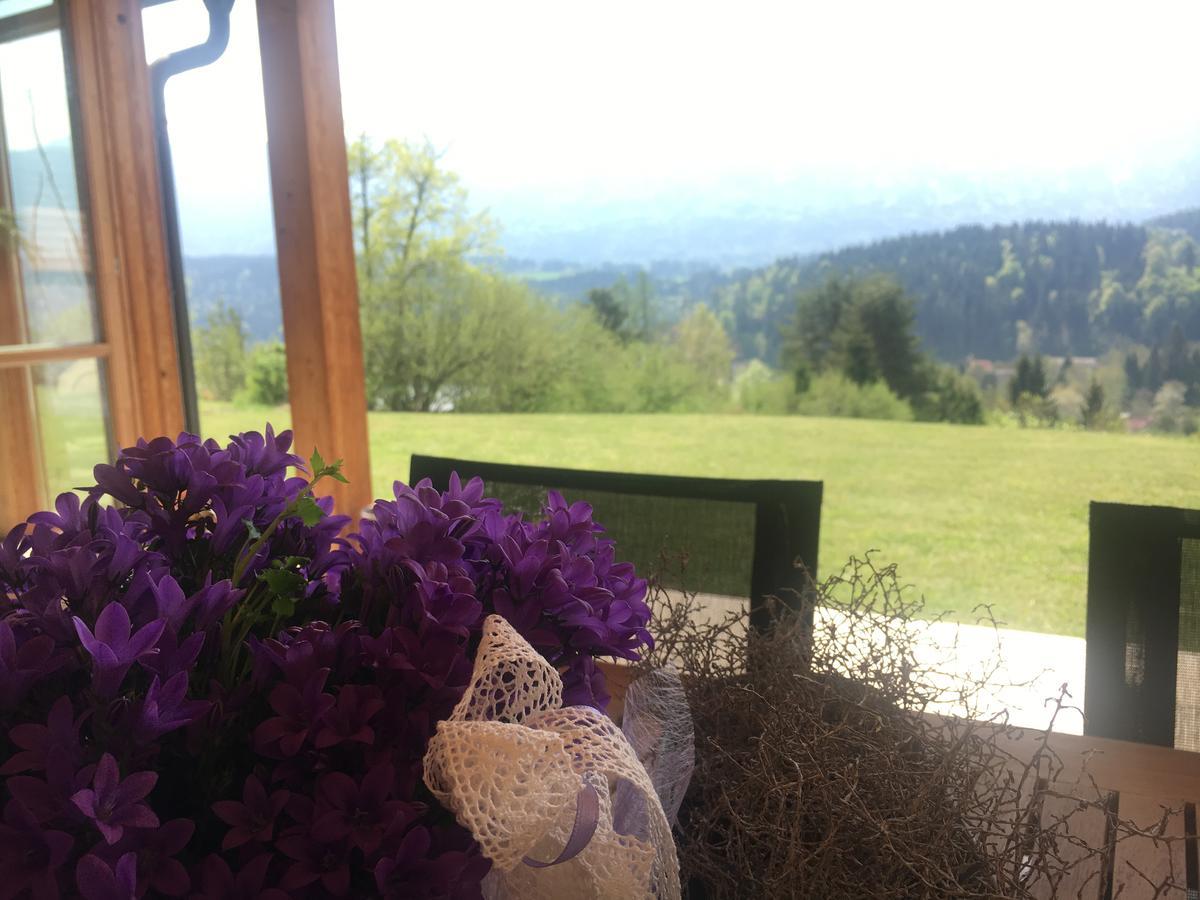 Appartamento Der Weber - Haus Der Zukunft Hermagor-Pressegger See Esterno foto